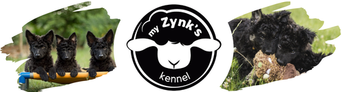 MY ZYNK'S KENNEL